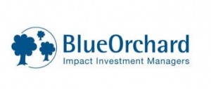 blueorchard_logo